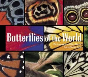 Butterflies Of The World by Baran M &