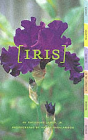 Iris by James Theodore