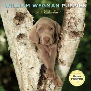 William Wegman Puppies 2012 Wall Cale by No Author Provided