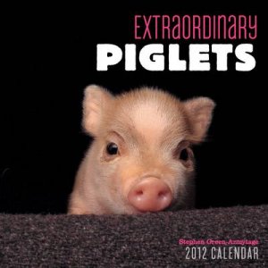 Extraordinary Piglets 2012 Mini Calen by No Author Provided