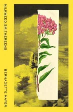 Milkweed Smithereens by Bernadette Mayer