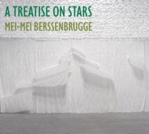 A Treatise On Stars by Mei-Mei Berssenbrugge