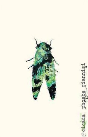 Cicada by Phoebe Giannisi & Brian Sneeden