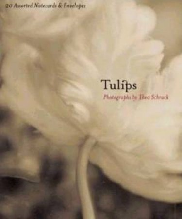 Tulips Notecards by Cards & Envelopes