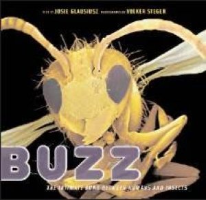 Buzz: The Intimate Bond Between Humans And Insects by Josie Glausiusz