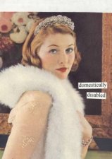 An Anne Taintor Notepad Domestically Disabled