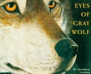 Eyes Of Gray Wolf by Jonathan London