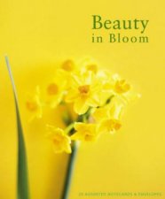 Beauty In Bloom Notecards