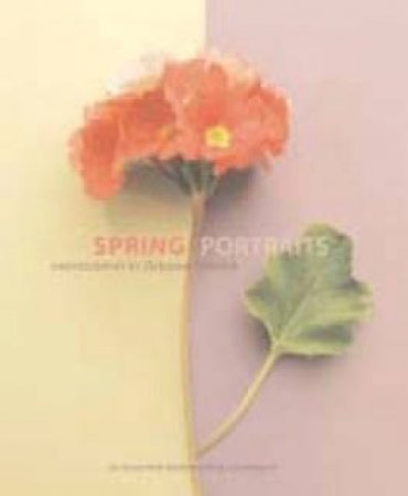 Spring Portraits: Notecards by Deborah Schenck