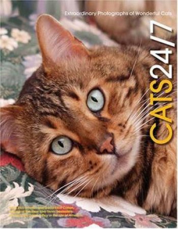 Cats 24/7 by Rick  Smolan & David Cohen