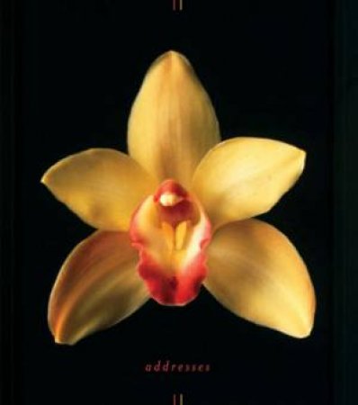 Orchids Address Book by Eric Hansen