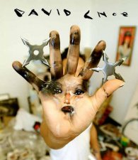 David Choe