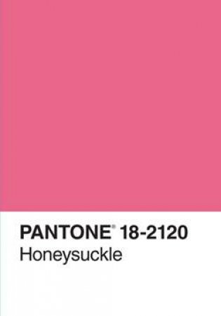 Pantone Colour Of The Year Journal 2011 by Various 