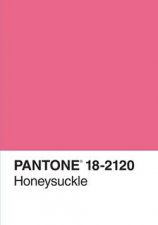 Pantone Colour Of The Year Journal 2011