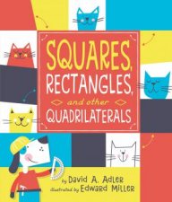 Squares Rectangles And Other Quadrilaterals