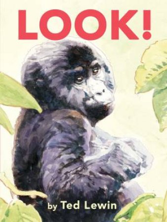 Look! by Ted Lewin