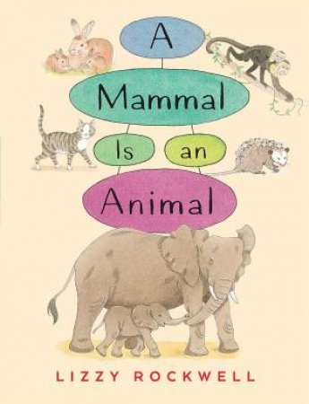 A Mammal Is An Animal by Lizzy Rockwell