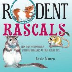 Rodent Rascals Clever Creatures At Their Actual Size