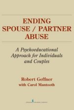 Ending SpousePartner Abuse