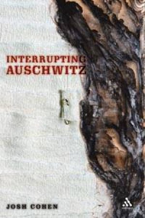 Interrupting Auschwitz: Art, Religion And Philosophy by Josh Cohen