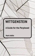 Wittgenstein A Guide For The Perplexed