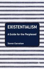 Existentialism A Guide For The Perplexed