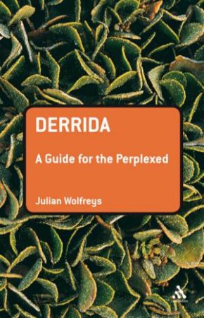 Derrida: A Guide For The Perplexed by Julian Wolfreys