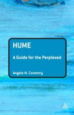 Hume A Guide For The Perplexed