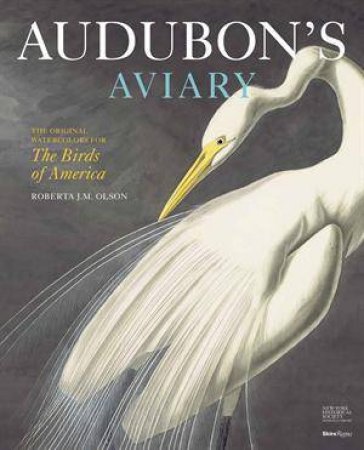 Audubon's Aviary by Roberta Olson