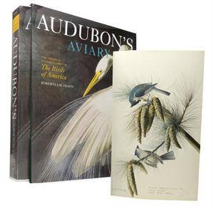 Audubon's Aviary Deluxe by Roberta Olson