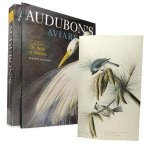 Audubons Aviary Deluxe