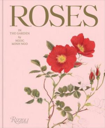 Roses in the Garden by Ngoc Minh Ngo