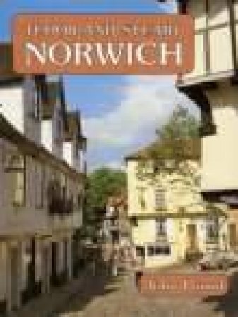 Tudor and Stewart Norwich by JOHN POUND