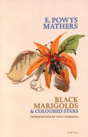 Black Marigolds and Coloured Stars by Edward Powys Mathers