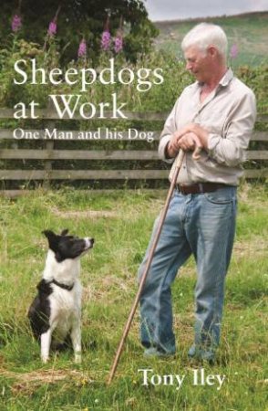 Sheepdogs at Work: One Man and His Dog by TONY ILEY