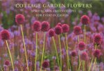 Gift Cards English Garden Cottage Flowers