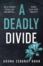 A Deadly Divide