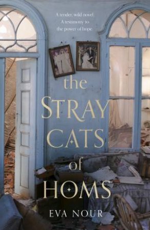 The Stray Cats Of Homs by Eva Nour