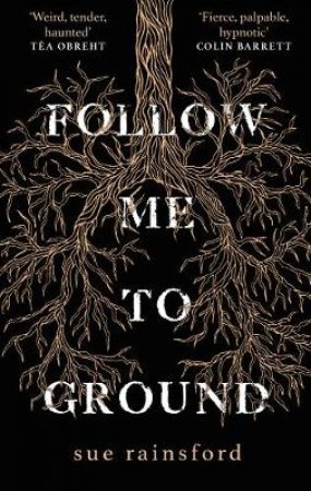 Follow Me To Ground by Sue Rainsford