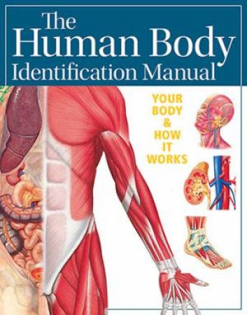 The Human Body Identification Manual by Ken Ashwell