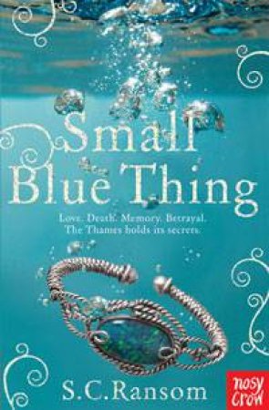 Small Blue Thing by S.C. Ransom