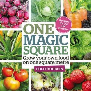 One Magic Square by Houbein Lolo