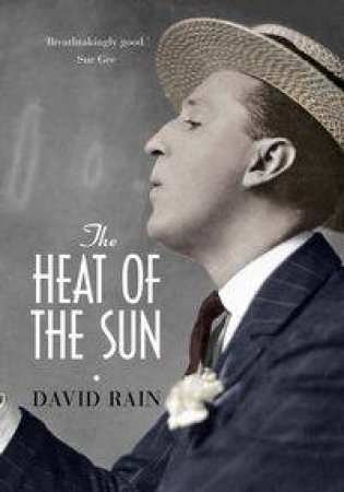 The Heat of the Sun by David Rain