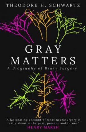 Gray Matters by Theodore Schwartz