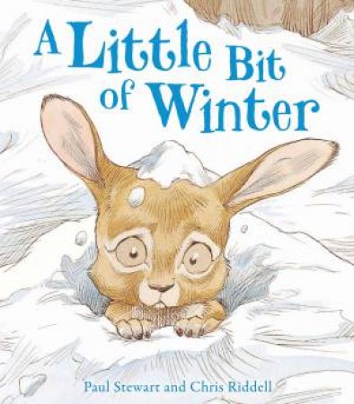 A Little Bit Of Winter by Paul Stewart