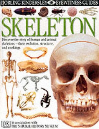 Eyewitness Guides: Skeletons by Parker Steve