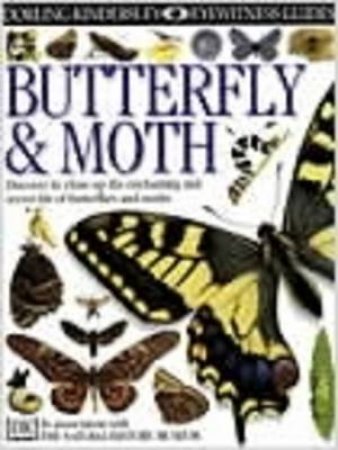 Eyewitness Guides: Butterfly & Moth by Paul Whalley