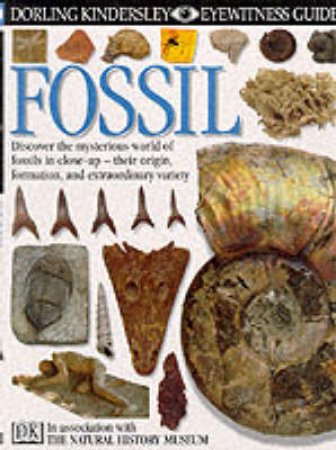 Eyewitness Guides: Fossil by Various