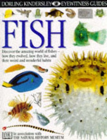 Eyewitness Guides: Fish by Various