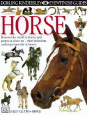 Eyewitness Guides: Horse by Brock J Clutton